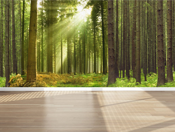 Wall Mural Life in the Woods, Peel and Stick Repositionable Fabric Wallpaper for Interior Home Decor