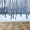 Wall Mural Frozen birch forest in winter day, Fabric Wallpaper for Interior Home Decor
