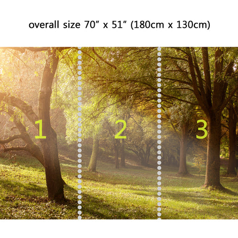 Wall Mural Light through the trees in the Morning, Peel and Stick Fabric Wallpaper for Interior Home Decor