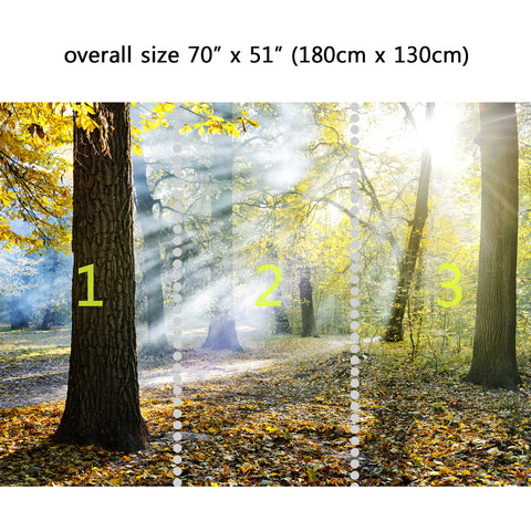 Wall Mural Sunlight in the park, Peel and Stick Fabric Wallpaper for Interior Home Decor