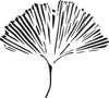 Chinese Ginkgo Stencils - Easy to Use Floral Stencil for Walls - WALL ART STENCIL instead of Decals