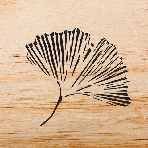 Chinese Ginkgo Stencils - Easy to Use Floral Stencil for Walls - WALL ART STENCIL instead of Decals