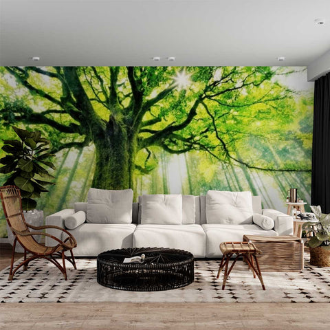 Wall Mural Ponthus' Beech - Self Adhesive Wall Art Removable Wallpaper