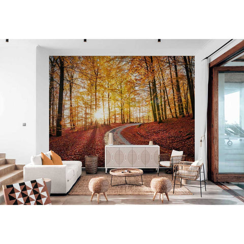 Wall Mural Road in Soderasen nationalpark, Sweden - Self Adhesive Wall Art Removable Wallpaper