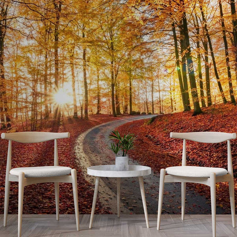 Wall Mural Road in Soderasen nationalpark, Sweden - Self Adhesive Wall Art Removable Wallpaper