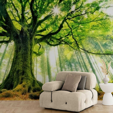 Wall Mural Ponthus' Beech - Self Adhesive Wall Art Removable Wallpaper