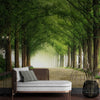 Wall Mural Metasequoia Road - Self Adhesive Wall Art Removable Wallpaper