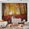Wall Mural Road in Soderasen nationalpark, Sweden - Self Adhesive Wall Art Removable Wallpaper