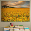 Wall Mural Sunflowers - Peel and Stick Fabric Wallpaper for Interior Home Decor