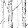 Birch Forest Self adhesive Peel & Stick Repositionable Fabric Wallpaper