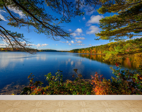 Wall Mural Lake in Autumn, Peel and Stick Repositionable Fabric Wallpaper for Interior Home Decor