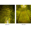 Door Wall Sticker Lovely bush tunnel - Peel & Stick Repositionable Fabric Mural 31"w x 79"h (80 x 200cm)
