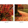 Door Wall Sticker Lovely Autumn at the calm lake - Peel & Stick Repositionable Fabric Mural 31"w x 79"h (80 x 200cm)
