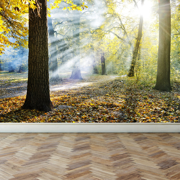 Wall Mural Sunlight in the park, Peel and Stick Fabric Wallpaper for Interior Home Decor