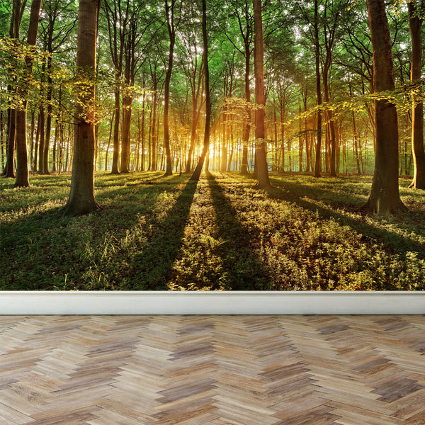 Wall Mural In the depths of a forest, Peel and Stick Fabric Wallpaper for Interior Home Decor