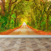 Wall Mural Straight road with trees, Peel and Stick Fabric Wallpaper