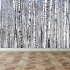 Wall Mural White Birch Trees, Peel and Stick Fabric Wallpaper for Interior Home Decor