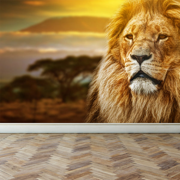 Wall Mural Lion on savanna, Peel and Stick Fabric Wallpaper for Interior Home Decor