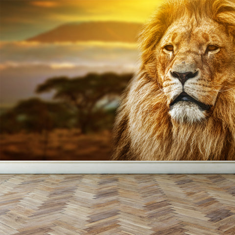 Wall Mural Lion on savanna, Peel and Stick Fabric Wallpaper for Interior Home Decor