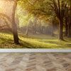 Wall Mural Light through the trees in the Morning, Peel and Stick Fabric Wallpaper for Interior Home Decor