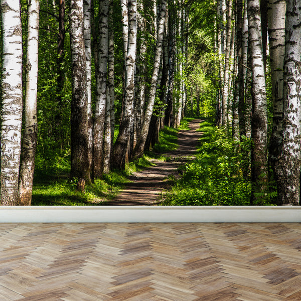 Wall Mural Forest and sunshine, Peel and Stick Fabric Wallpaper for Interior Home Decor