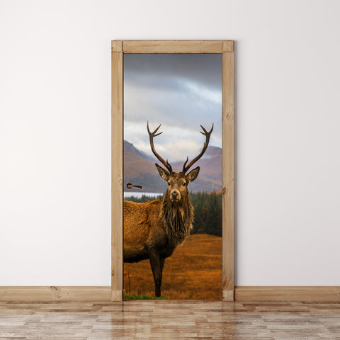 Door Mural Scottish Stag - Self Adhesive Fabric Door Wrap Wall Sticker