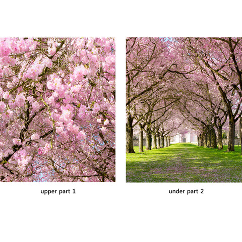 Door Wall Sticker Cherry Blossoms Place - Self Adhesive Fabric Door Wrap Wall Sticker