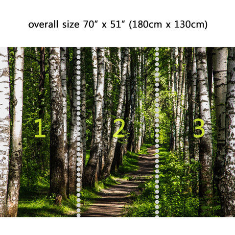 Wall Mural Forest and sunshine, Peel and Stick Fabric Wallpaper for Interior Home Decor