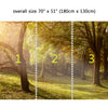 Wall Mural Light through the trees in the Morning, Peel and Stick Fabric Wallpaper for Interior Home Decor