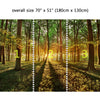 Wall Mural In the depths of a forest, Peel and Stick Fabric Wallpaper for Interior Home Decor