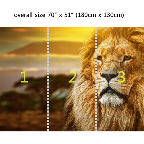 Wall Mural Lion on savanna, Peel and Stick Fabric Wallpaper for Interior Home Decor