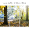 Wall Mural Sunlight in the park, Peel and Stick Fabric Wallpaper for Interior Home Decor