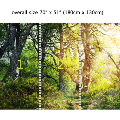 Wall Mural Walk through the woods, Peel and Stick Fabric Wallpaper for Interior Home Decor