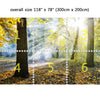 Wall Mural Sunlight in the park, Peel and Stick Fabric Wallpaper for Interior Home Decor