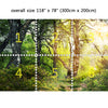 Wall Mural Walk through the woods, Peel and Stick Fabric Wallpaper for Interior Home Decor
