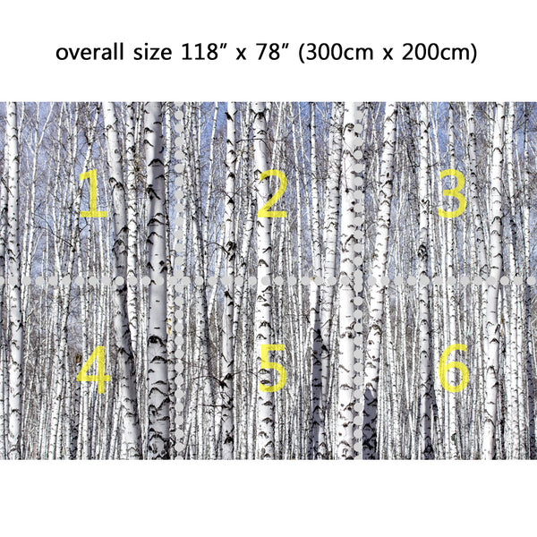 Wall Mural White Birch Trees, Peel and Stick Fabric Wallpaper for Inte ...