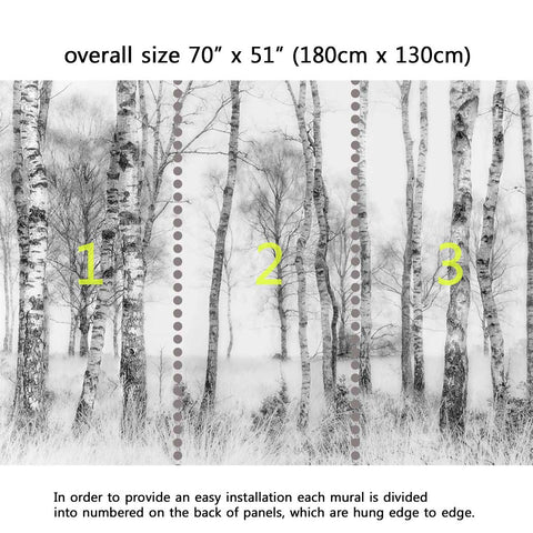 Wall Mural Black and white Birch trees - Peel and Stick Fabric Wallpaper for Interior Home Decor