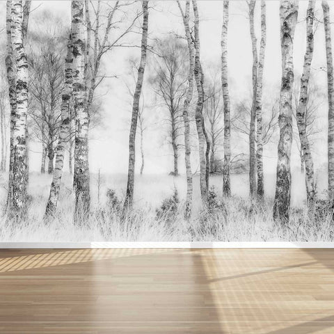 Wall Mural Black and white Birch trees - Peel and Stick Fabric Wallpaper for Interior Home Decor